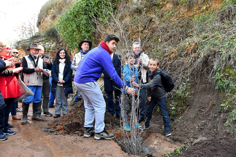 Los granadinos celebran el Día del Árbol con un paseo en recuerdo de los arrieros y reivindican el valor del viejo camino bajo la Alhambra