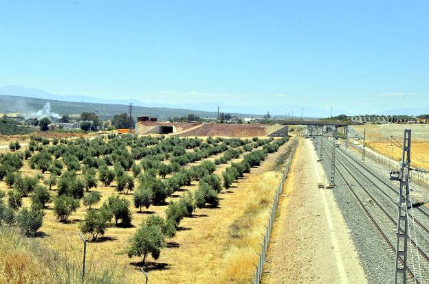 Terrenos donde se construirá el Puerto Seco. 