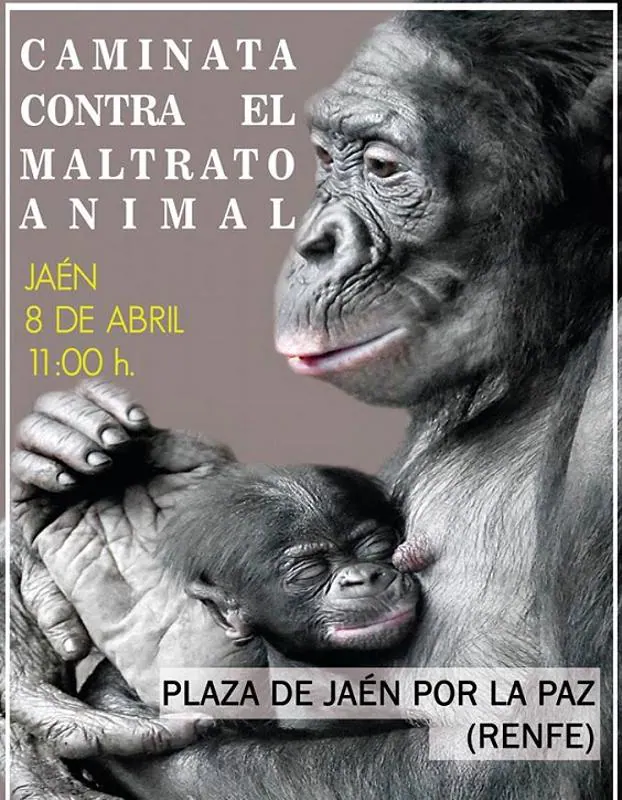 Caminata pacífica contra el maltrato animal en Jaén el próximo 8 de abril