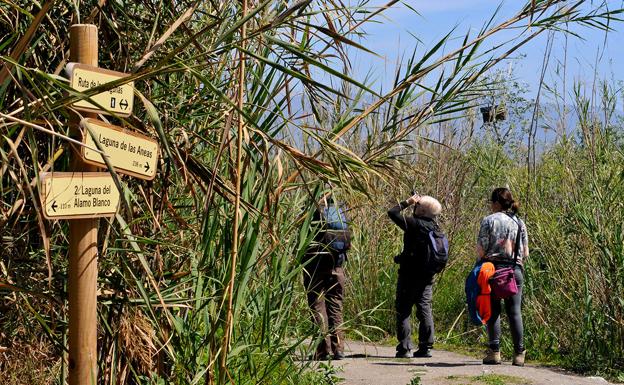 Senda para recorrer las lagunas 