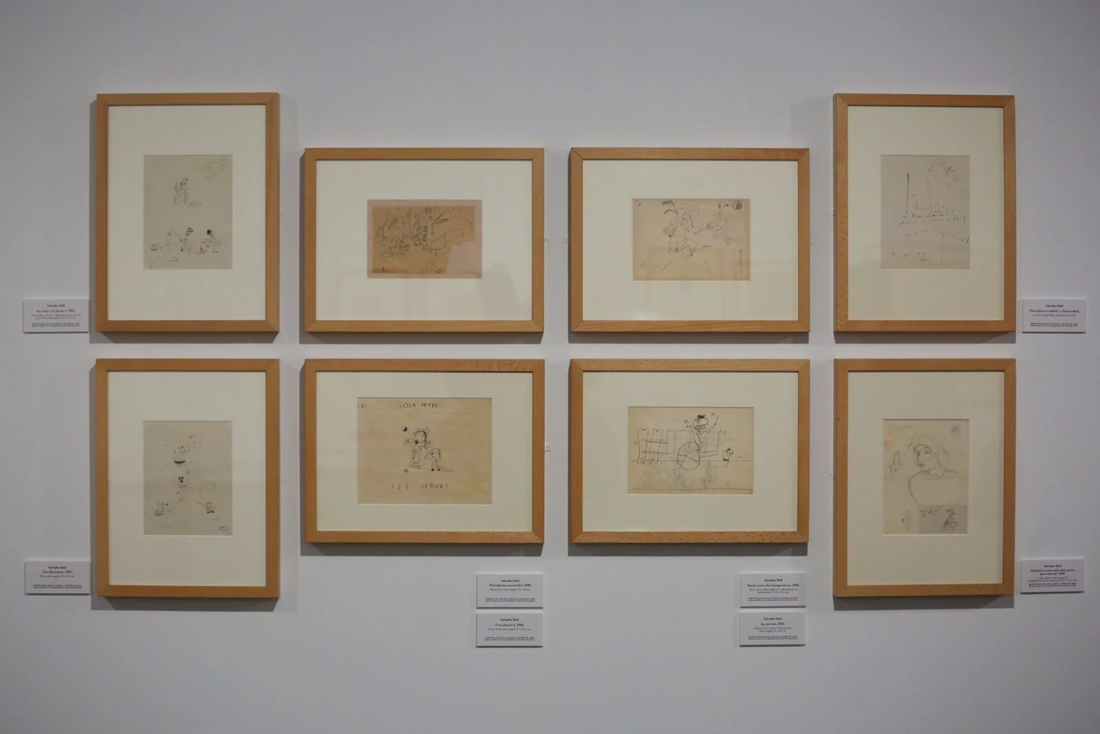 Conjunto completo de los ocho dibujos que componen la famosa serie de 'Los putrefactos' realizada por Salvador Dalí. Depósito del museo Reina Sofía en la Residencia de Estudiantes.