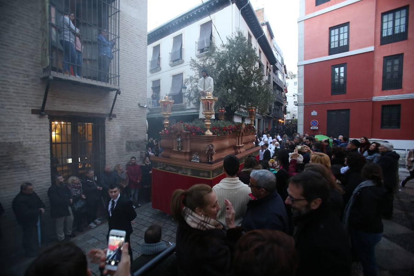 Borriquilla, Cautivo, Santa Centa, Maravillas y Despojado, hermandades de este Domingo de Ramos de Granada