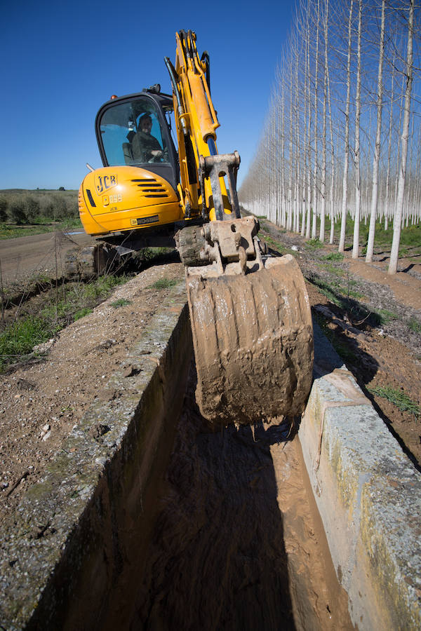 Hectáreas de Vega convertidas en un lodazal, 15 caminos casi intransitables, pérdidas millonarias... Es el rastro del temporal que persiste en Granada. 