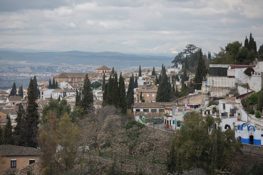 Así se ve la ciudad desde el emblemático escenario de La Chumbera