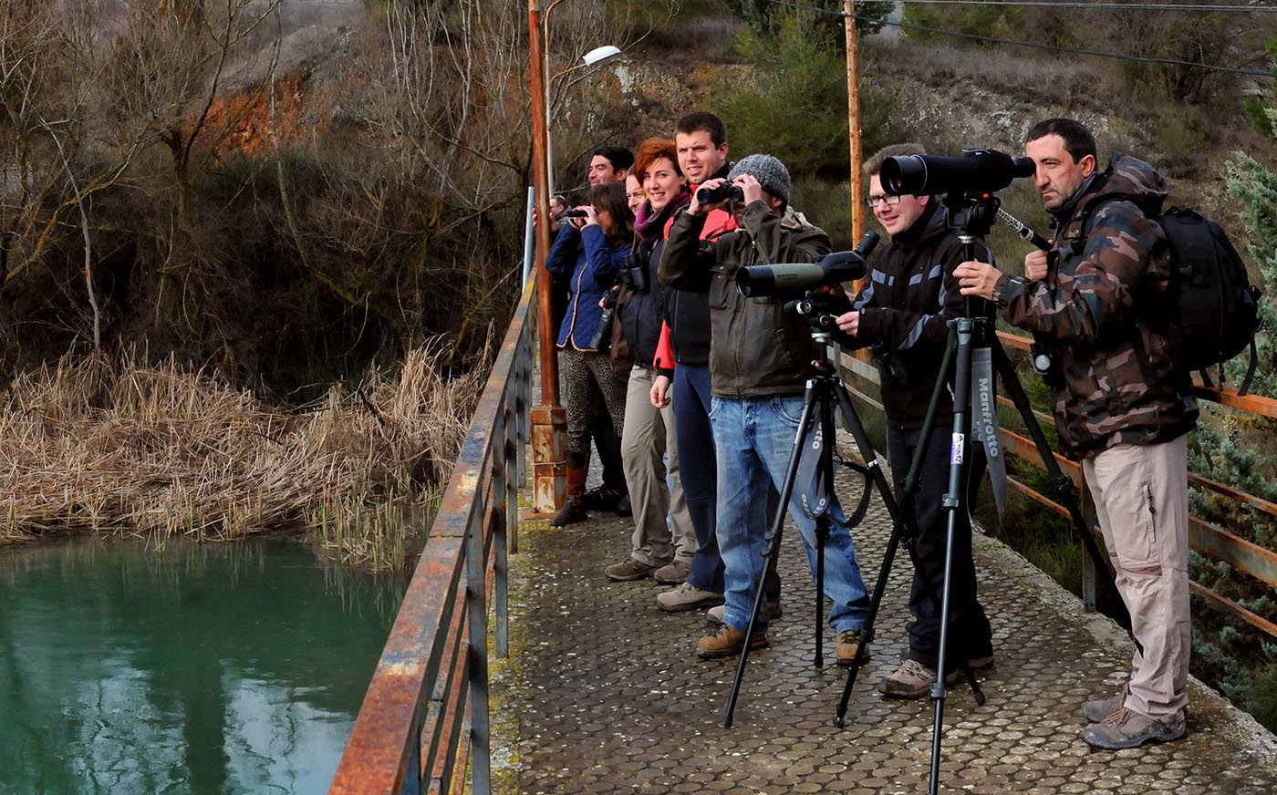 Un grupo de voluntarios de SEO-Birdlife durante una observación de aves en la pantaneta de Alhama de Granada