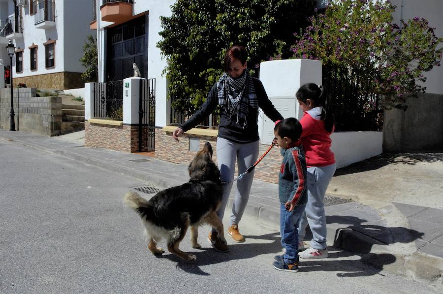 Lleva casi un mes con su nueva familia, es juguetona y está muy feliz