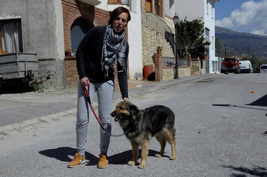 Lleva casi un mes con su nueva familia, es juguetona y está muy feliz