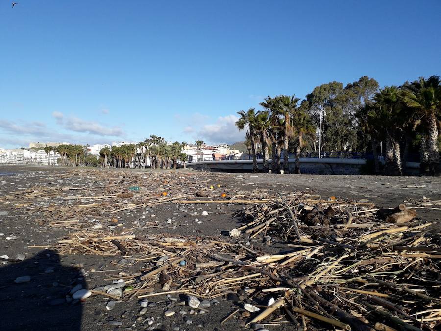 Después de retirar dos millones de kilos de residuos en el mes de marzo, las playas de Almuñécar vuelven a estar llenas de cañaveras por los temporales 