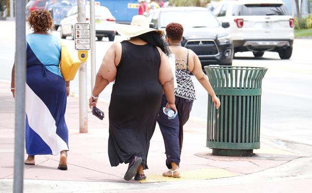 Un estudio determina que la obesidad podría tener también un origen microbiano