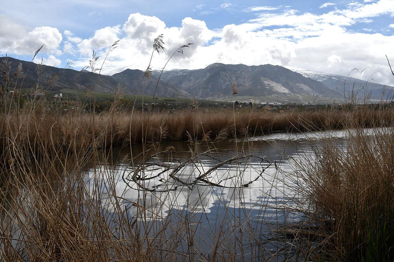 Las láminas de agua alcanzan niveles desconocidos desde hace décadas.