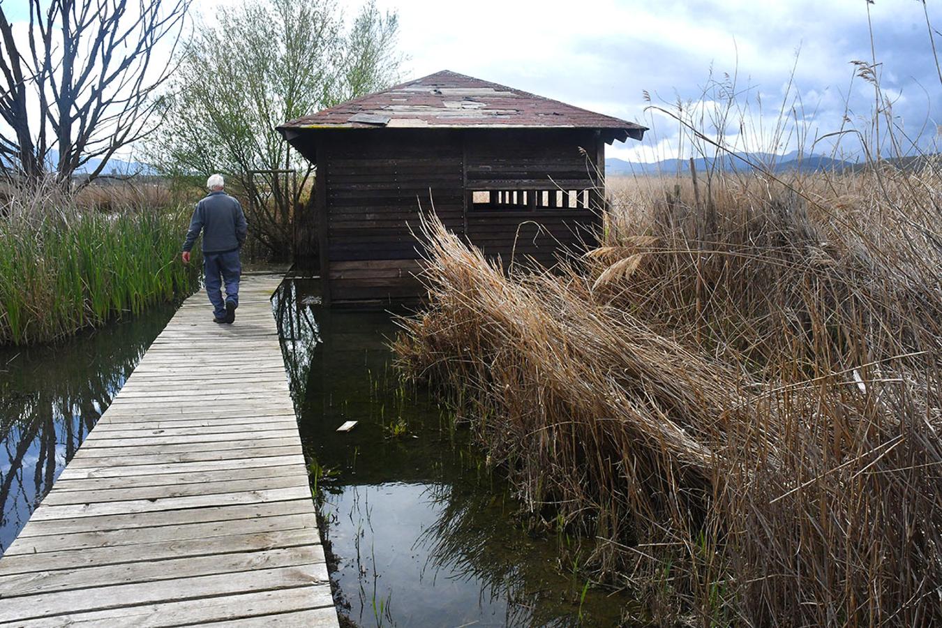 El camino del observatorio ornitológico de la madre Maestra bordeado de agua que, en algunos puntos rebosará con nuevas lluvias