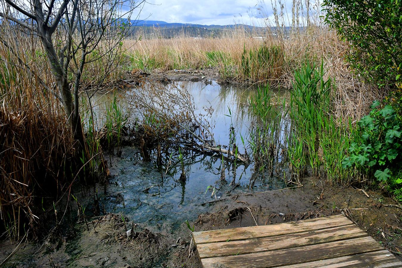 El agua rebasa el nivel de algunas infraestrucuturas.