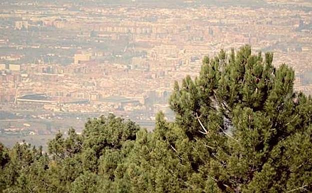 La cronoescalada a Cumbres Verdes para cadetes y júniors se disputará el 28 de abril