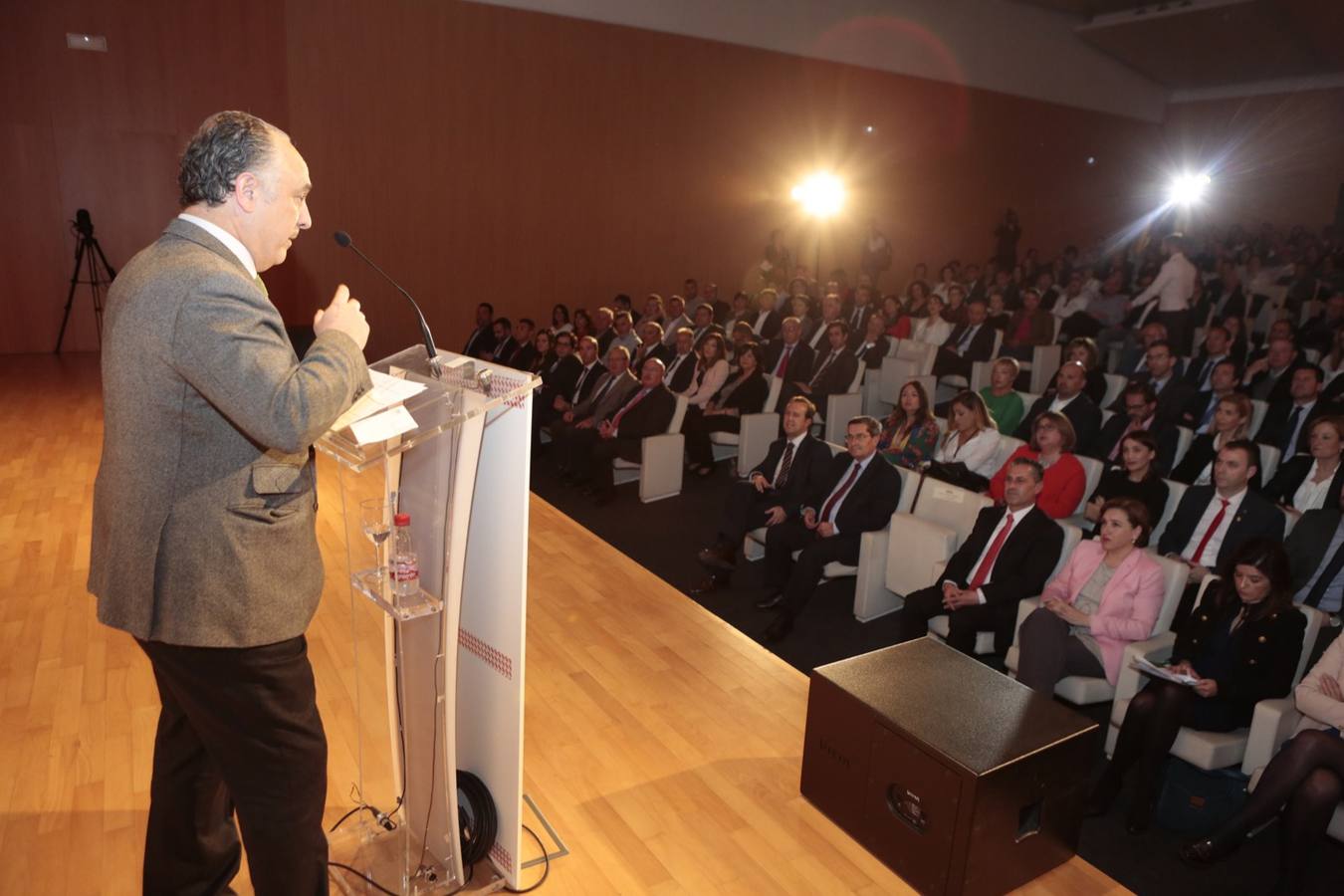 Se conceden diez de estos galardones, promovidos por IDEAL y Caixabank