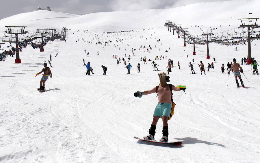 La actividad, acto central de la primavera en Sierra Nevada, anuncia el tramo final de la temporada, que se prolonga hasta el 6 de mayo