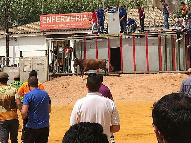 Participantes en uno de los encierros, ayer en Beas, delante de la enfermería.