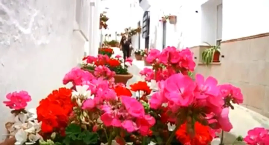 Lucainena de las Torres celebra hoy el Día de las Flores