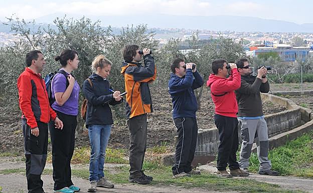 Un grupo de voluntarios de SEO-Birdlife, realiza censos de aves esteparias en Granada.