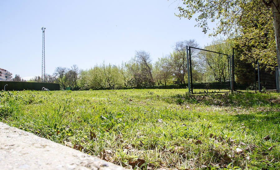 La antigua piscina de los Paseíllos, propiedad de la Universidad de Granada, lleva cuatro años cerrada.