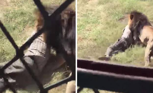 El terrible ataque de un león al dueño de un parque de vida silvestre tras entrar en su recinto