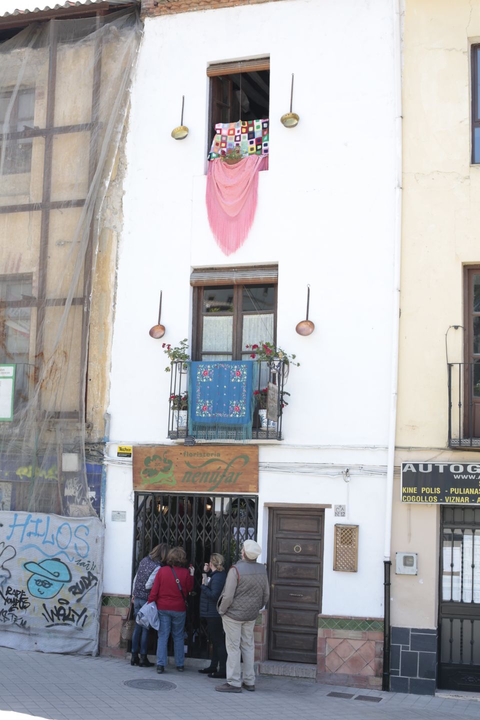 Tercer premio de escaparates: Floristería Nenúfar (Plaza del Triunfo)