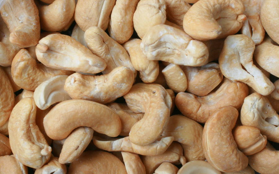 Los anacardos crudos tienen un elemento que se llama urushiol, el mismo compuesto químico de la hiedra venenosa. Cuandos los comemos están hechos al vapor, de lo contrario tendríamos serios problemas de salud.