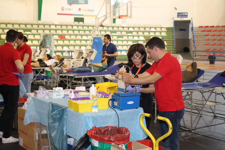 Cientos de almerienses han participado ya en la macrocolecta organizada hoy en el pabellón Rafael Florido y que permanecerá activa hasta las 21.30 horas