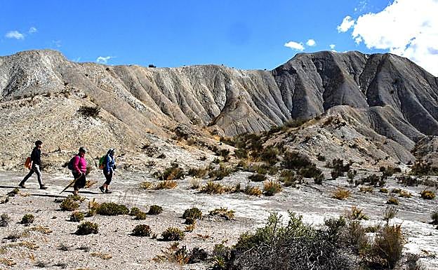Senderistas realizan la ruta del desierto