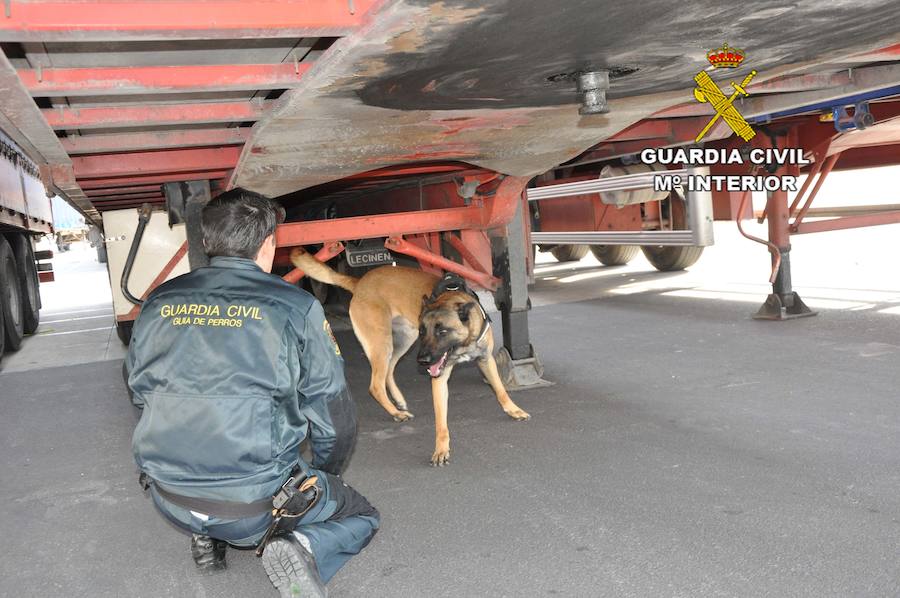 Se escondían en huecos de camiones y autobuses para entrar en el Puerto de Almería