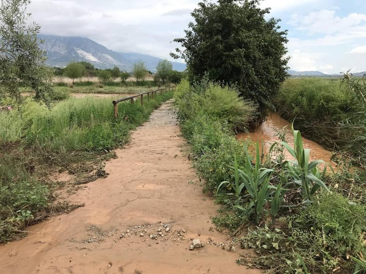 La Rambla de los Alcarceles se anegó y también el Camino de los Molinos, que fue cortado al tráfico para evitar problemas con el paso de los vehículos