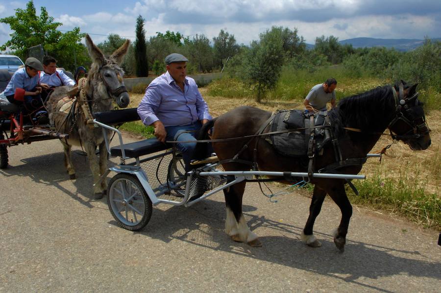 Una veintena de carrozas y muchos jinetes participan en Dúrcal en la romería de San Isidro Labrador
