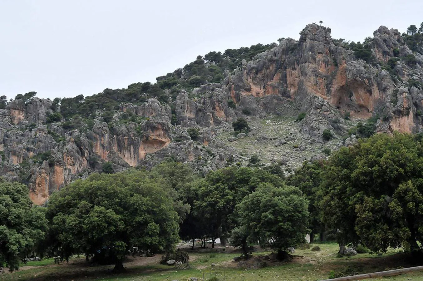 Los espacios naturales se han convertido en una nueva fuente de atracción hacia el medio rural y un aliciente económico para los pueblos. FOTO: Parque Natural de Sierra Mágina, Almería