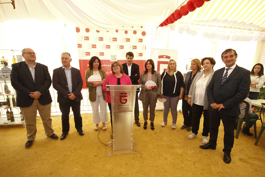 La diputada provincial de Desarrollo Sostenible y Empleo, Ana Muñoz, ha inaugurado el espacio destinado a la plataforma en la caseta de Diputación en la Feria del Corpus 2018. Más fotos de Corpus,  en este enlace