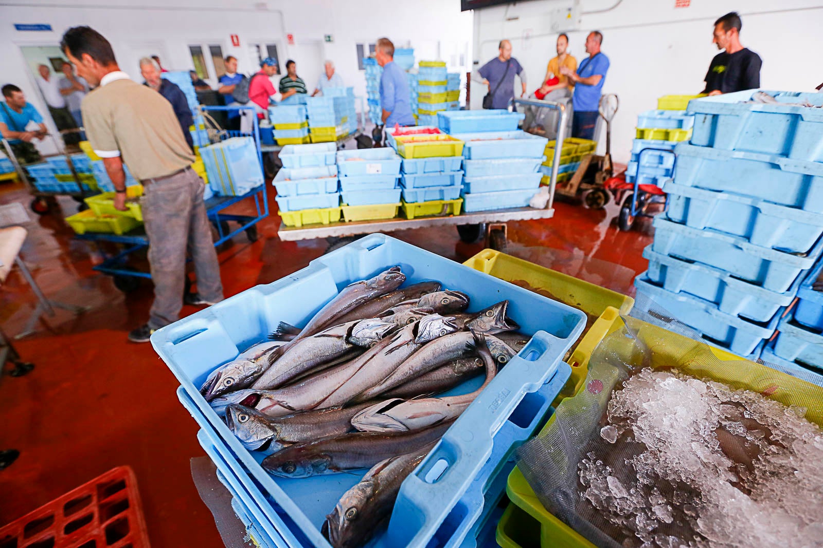 Los pescadores de arrastre podrán salir menos días a faenar y les será menos rentable ir a por esta cotizada especie, cuya pesca es compleja