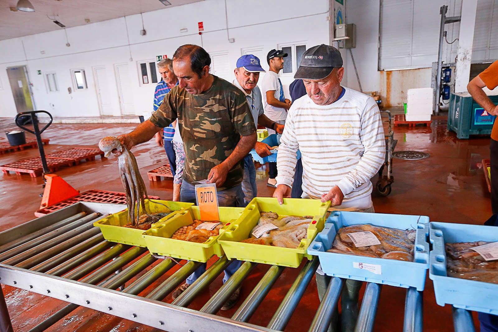 Los pescadores de arrastre podrán salir menos días a faenar y les será menos rentable ir a por esta cotizada especie, cuya pesca es compleja