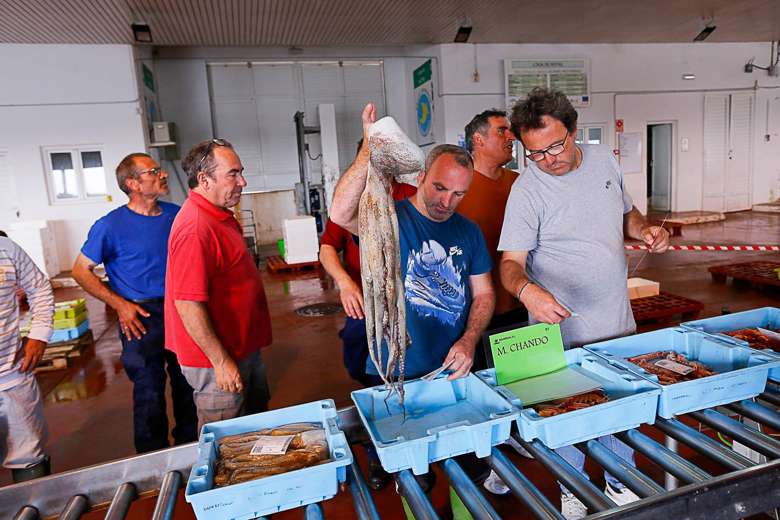 Los pescadores de arrastre podrán salir menos días a faenar y les será menos rentable ir a por esta cotizada especie, cuya pesca es compleja