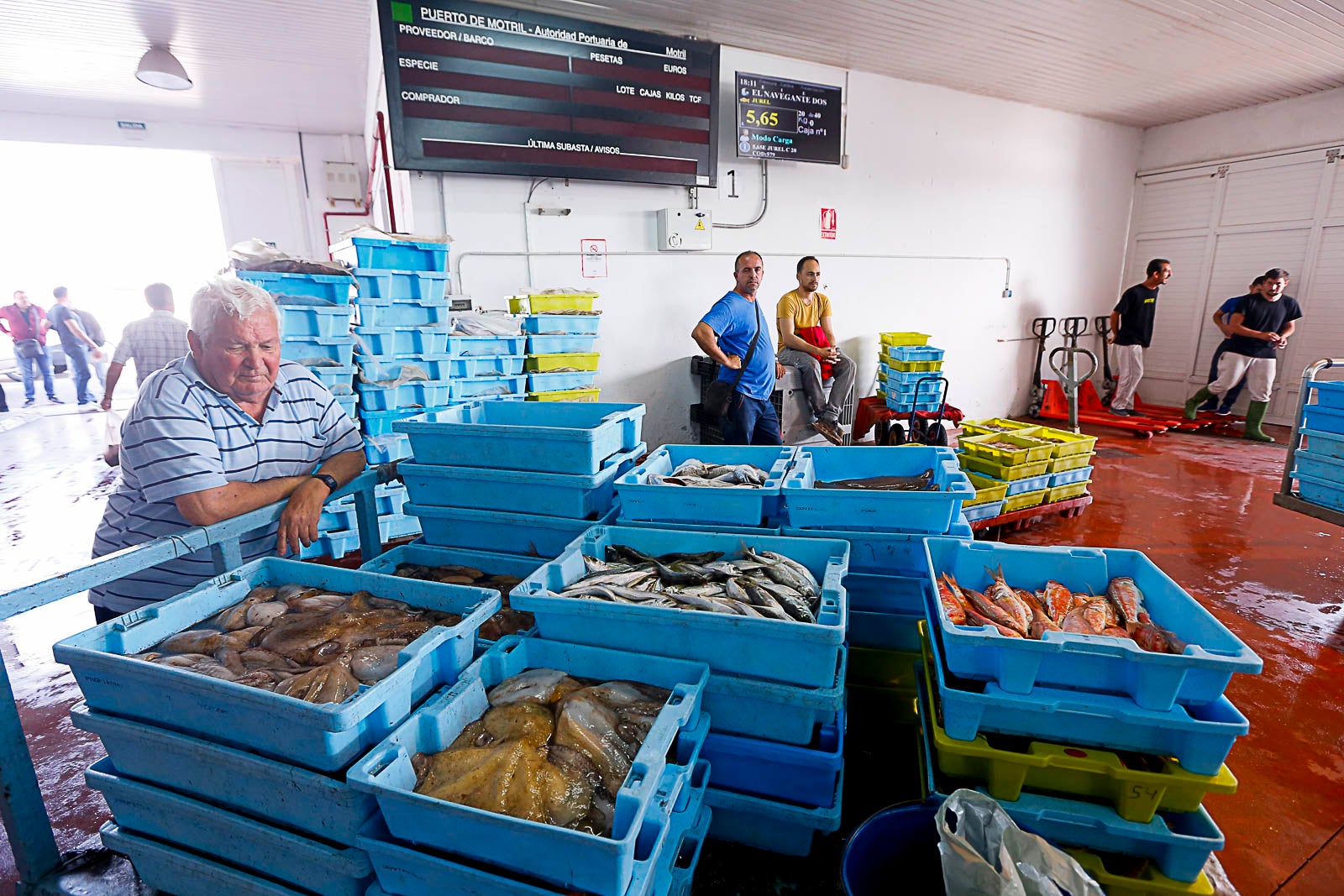 Los pescadores de arrastre podrán salir menos días a faenar y les será menos rentable ir a por esta cotizada especie, cuya pesca es compleja