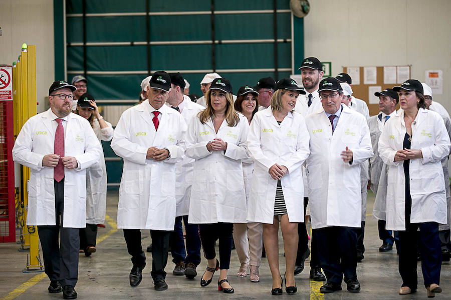 La presidenta de la Junta de Andalucía ha vuelto hoy a Granada tras un tiempo sin visitas para recorrer las instalaciones de la cooperativa El Grupo de Castell de Ferro