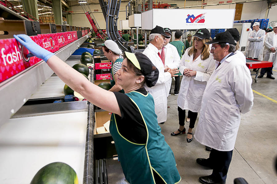 La presidenta de la Junta de Andalucía ha vuelto hoy a Granada tras un tiempo sin visitas para recorrer las instalaciones de la cooperativa El Grupo de Castell de Ferro