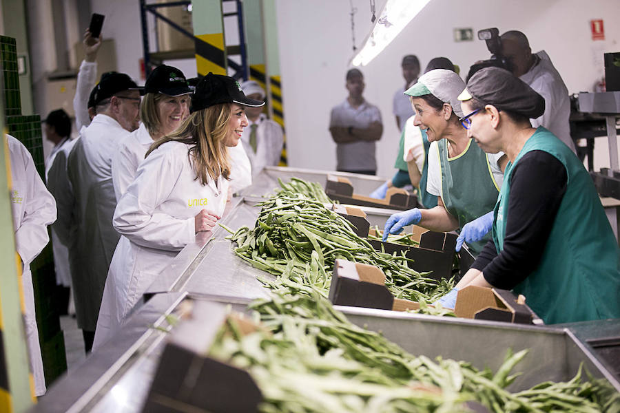 La presidenta de la Junta de Andalucía ha vuelto hoy a Granada tras un tiempo sin visitas para recorrer las instalaciones de la cooperativa El Grupo de Castell de Ferro