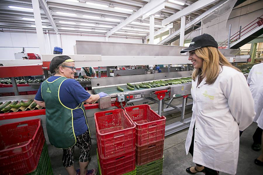 La presidenta de la Junta de Andalucía ha vuelto hoy a Granada tras un tiempo sin visitas para recorrer las instalaciones de la cooperativa El Grupo de Castell de Ferro