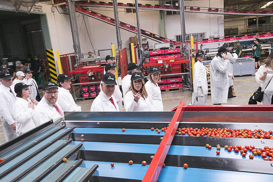 La presidenta de la Junta de Andalucía ha vuelto hoy a Granada tras un tiempo sin visitas para recorrer las instalaciones de la cooperativa El Grupo de Castell de Ferro