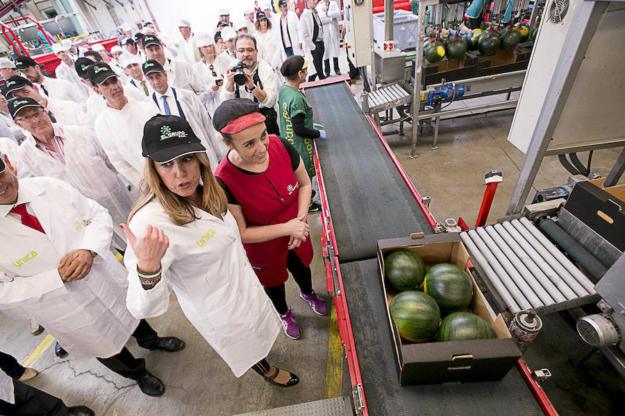 La presidenta de la Junta de Andalucía ha vuelto hoy a Granada tras un tiempo sin visitas para recorrer las instalaciones de la cooperativa El Grupo de Castell de Ferro