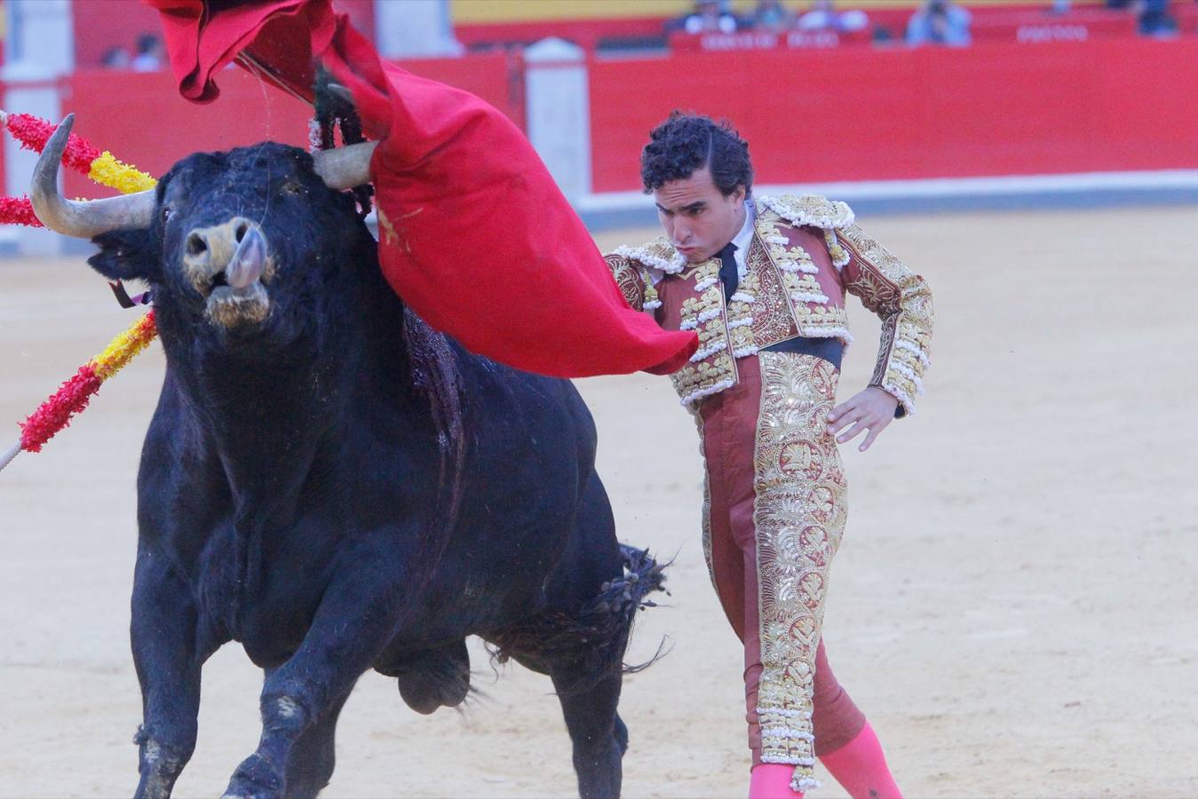 El diestro peruano Joaquín Galdós protagonizó la primera salida a hombros del serial, merced a una entregadísima actuación, en una tarde en la que Álvaro Lorenzo también rayó a buen nivel, pero perdiendo el triunfo por su mala espada. Puedes ver todas las imágenes de este Corpus pinchando en el  siguiente enlace .