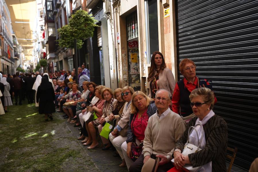 El extenso cortejo ha mezclado los elementos civiles y religiosos en un colorido desfile que ha sido seguido por miles de personas en la calle. Puede ver más fotos del Corpus en  este enlace . 