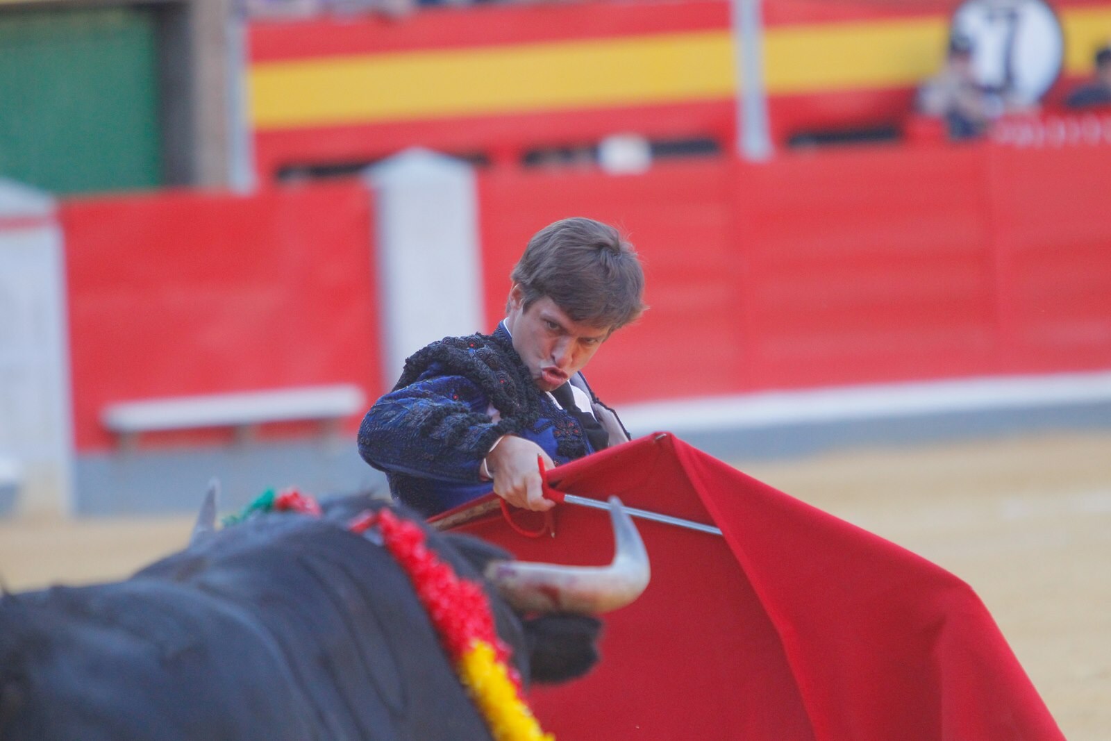 Las mejores imágenes de la corrida del viernes. Para ver el resto de las fotografías del Corpus puedes hacerlo en  este enlace