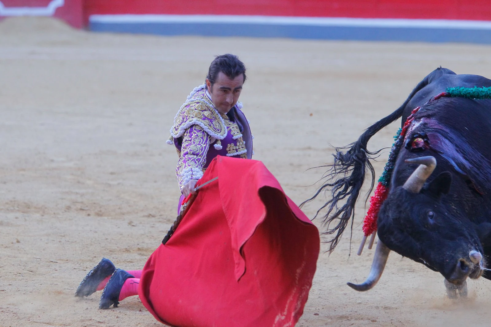 Las mejores imágenes de la corrida del viernes. Para ver el resto de las fotografías del Corpus puedes hacerlo en  este enlace