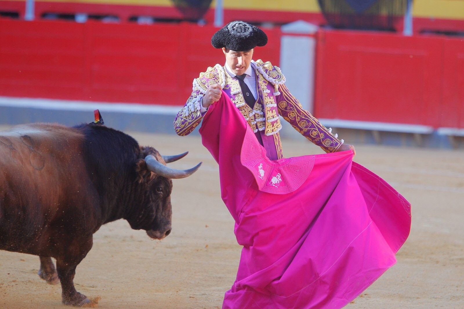 Las mejores imágenes de la corrida del viernes. Para ver el resto de las fotografías del Corpus puedes hacerlo en  este enlace