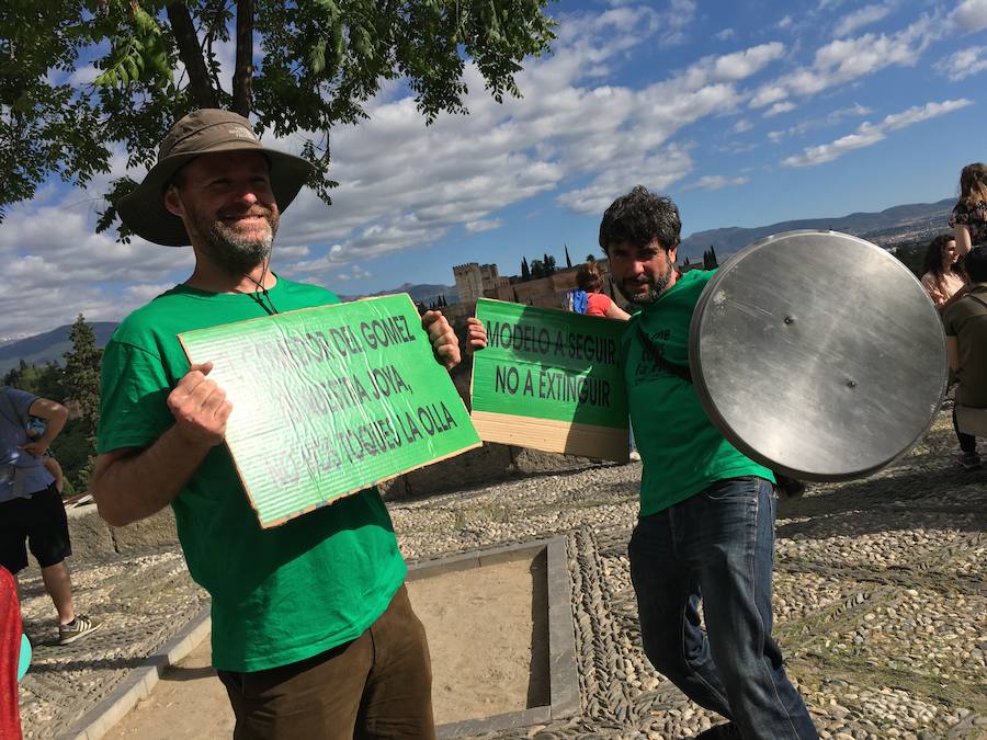 La Asociación de Madres y Padres del colegio Gómez Moreno se ha concentrado en el mirador de San Nicolás para reivindicar que el comedor siga siendo autogestionado