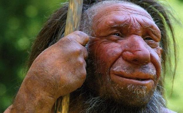 ¿Coincidieron en el tiempo neandertales y sapiens?